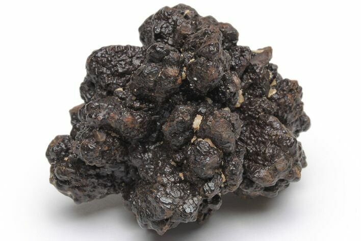 Goethite (Limonite) Pseudomorph after Pyrite/Marcasite - Egypt #219748